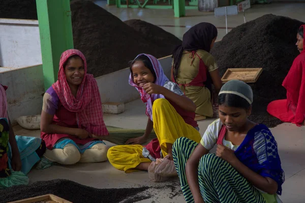 2013 06, India, Assam: chicas yuong clasificando el té en la fábrica de té — Foto de Stock