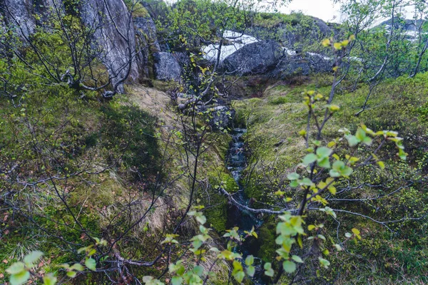 Berg floden flödar ner — Stockfoto