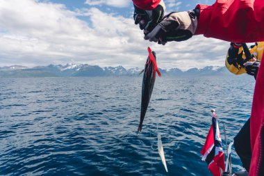 Norveç'te bir yat üzerinden Balık tutma