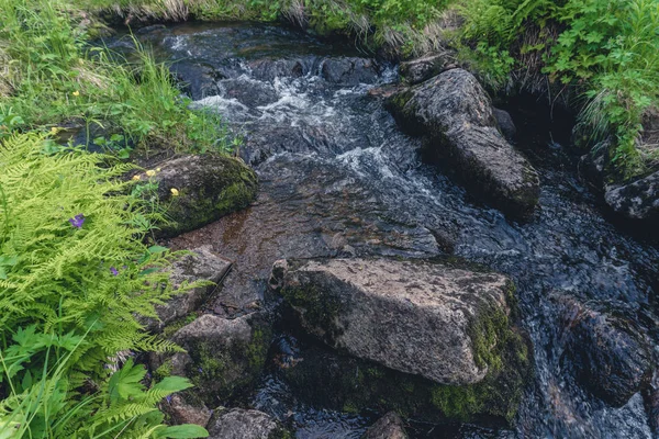 Caudal del río montaña —  Fotos de Stock