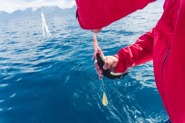 Norveç'te bir yat üzerinden Balık tutma