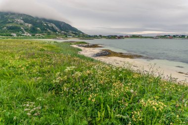 Norveç, Scandinavia Köyü manzara