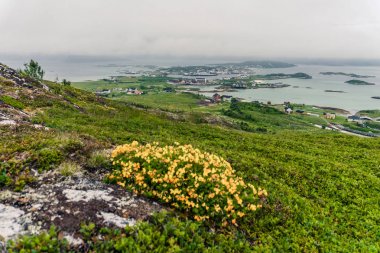 Dağ manzara Norveç Denizi üzerinde