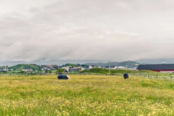 Краєвид з сіл в Норвегії, в Скандинавії — стокове фото