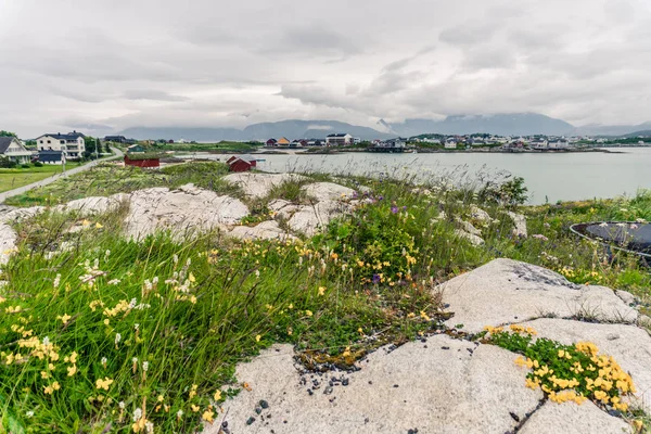 Dorflandschaft in Norwegen, Skandinavien — Stockfoto