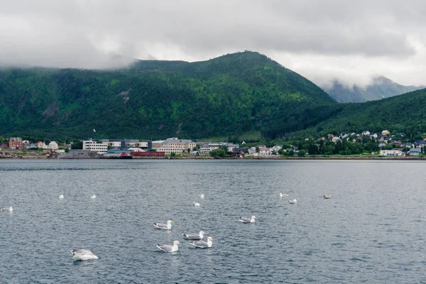 Liten hamn i centrala Boroya, Norge — Stockfoto
