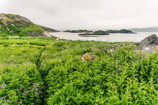 Górskie krajobrazy na Morze Norweskie — Zdjęcie stockowe