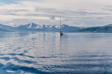 Norveç'te bir yat yelken