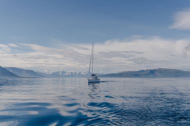 Norveç'te bir yat yelken