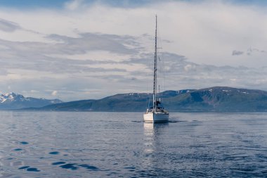 Norveç'te bir yat yelken