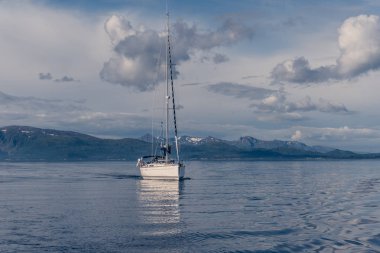 Norveç'te bir yat yelken