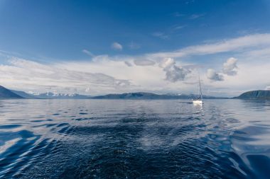 Norveç'te bir yat yelken