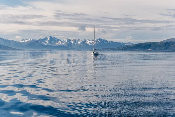 Berlayar di kapal pesiar di Norwegia — Stok Foto