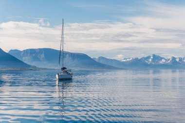 Norveç'te bir yat yelken