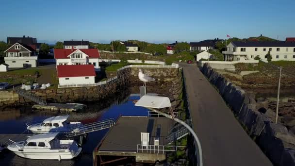 Seagull som sitter på en lyktstolpe. Flygfoto. Norge. — Stockvideo