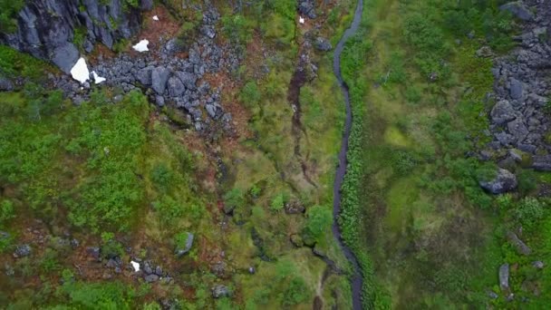 Der Trollfjord auf den Lofoten, Norwegen — Stockvideo