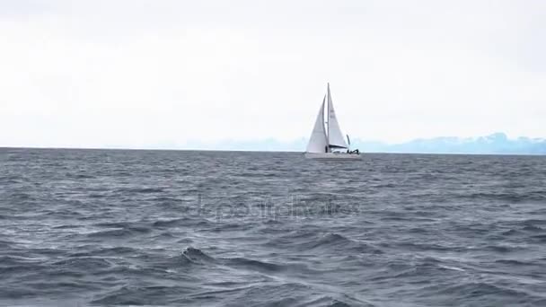 Vitorlázás a Norvégia jachton — Stock videók