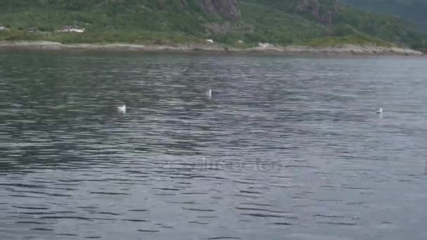 Bergslandskap på norska havet — Stockvideo