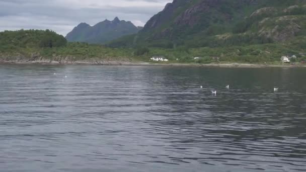 Paisajes de montaña en el Mar de Noruega — Vídeo de stock