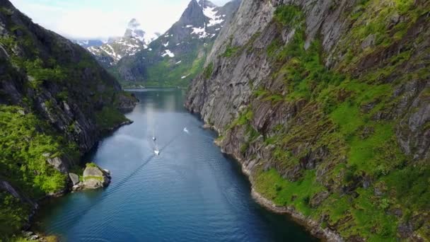 Jachting v Troll fjordu. Letecký pohled — Stock video