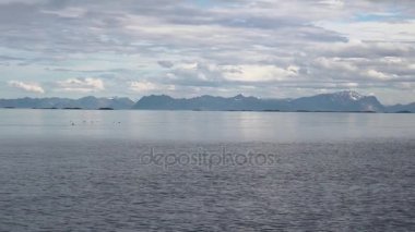 Norveç Denizi bir dağ manzarası arka planda yunuslar