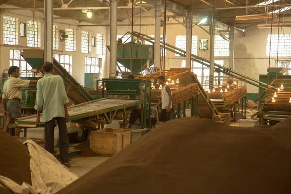 2013 06, India, Assam: Dentro de una fábrica de té — Foto de Stock
