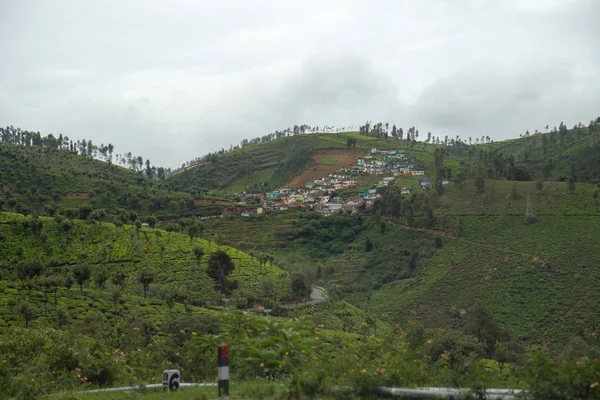 Indische Teeplantage im Nilgiri — Stockfoto