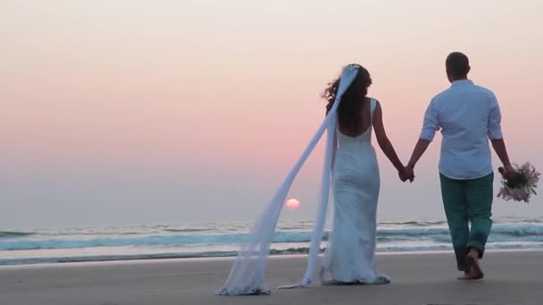 Les amoureux étaient mariés en Inde. Promenade sur la plage — Video