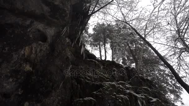 从布满苔藓的悬崖上垂下的冰柱 — 图库视频影像