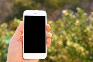 Ağaç zeminli el ele tutuşan akıllı telefon.