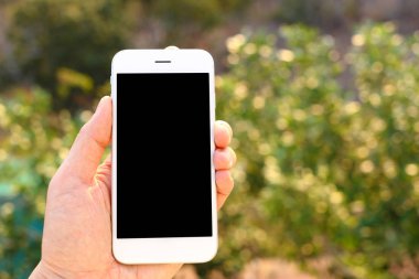 Ağaç zeminli el ele tutuşan akıllı telefon.