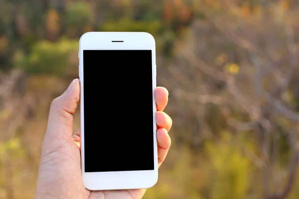 Рука держит макет смартфона с фоном дерева — стоковое фото
