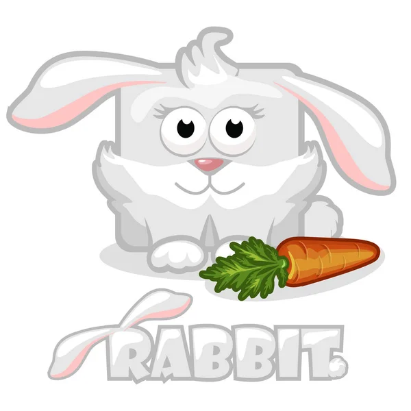 方形兔子和胡萝卜 — 图库照片