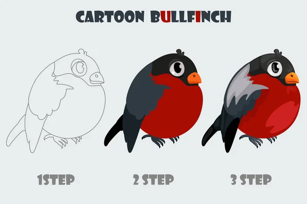 Cartoon-Gimpel, isolierte Zeichnung in 3 Schritten. Vektor-Wintervogel. — Stockvektor