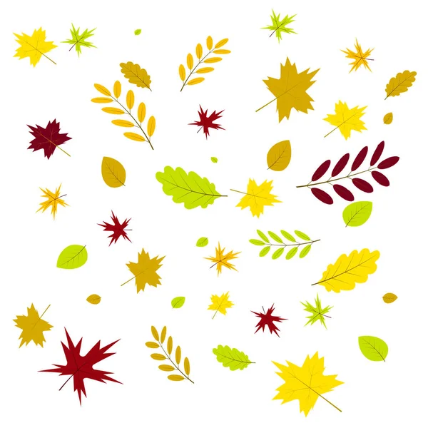 Hoja de hojas de otoño — Vector de stock