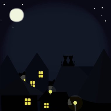 Gece şehir çatılarda kedi