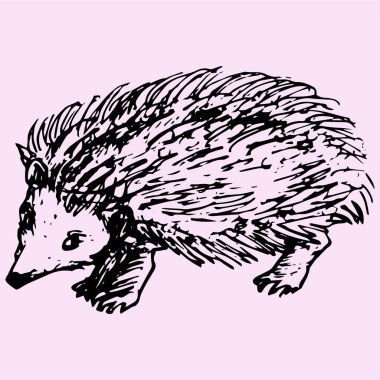 kirpi, doodle stili 