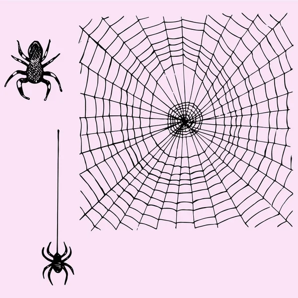 Örümcek web ve asılı örümcek — Stok Vektör