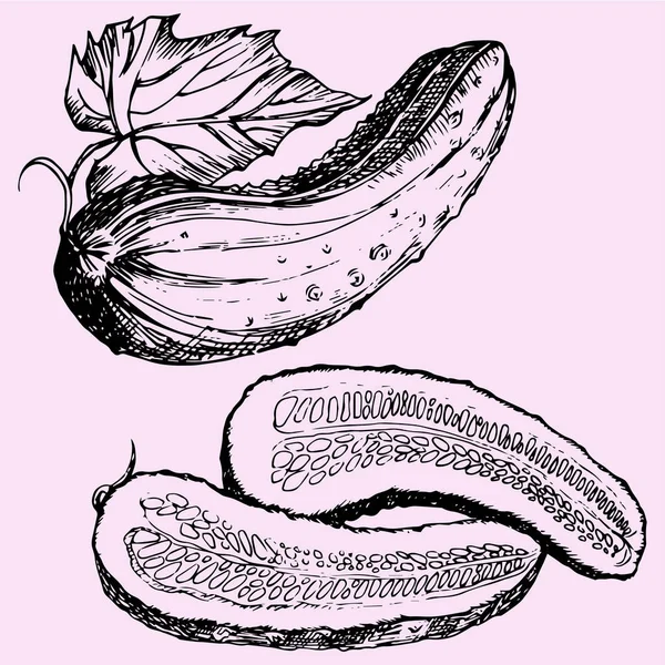 Pièces moitié concombre — Image vectorielle