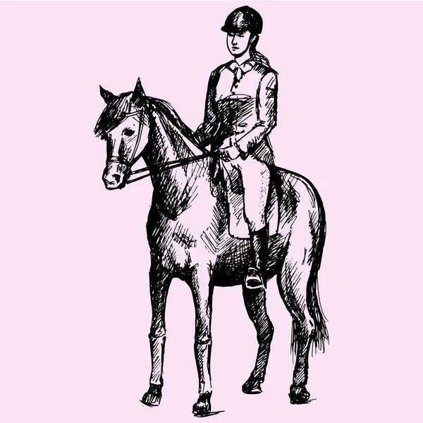 Jízda na koni, Žena v gear sedí na koni — Stockový vektor
