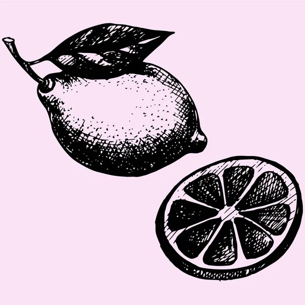 Citroen met blad, schijfje citroen — Stockvector