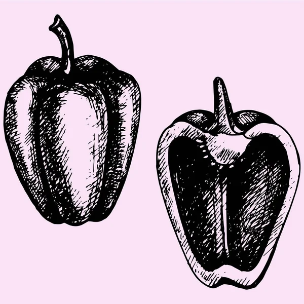 Poivron doux — Image vectorielle