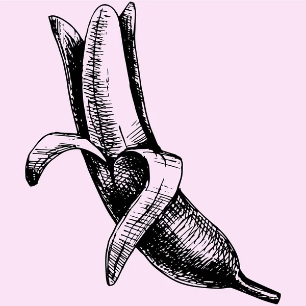 Banane pelée style doodle — Image vectorielle