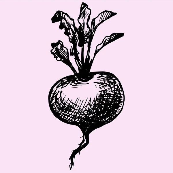 Şalgam yaprakları ile stil doodle — Stok Vektör