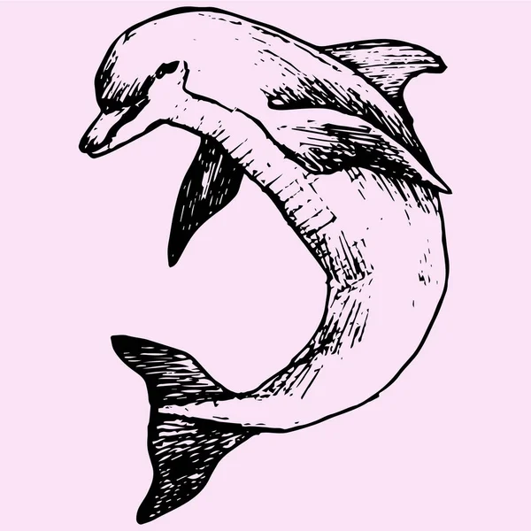 Estilo garabato delfín — Vector de stock