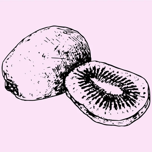 Kiwi fruits, style doodle — Image vectorielle