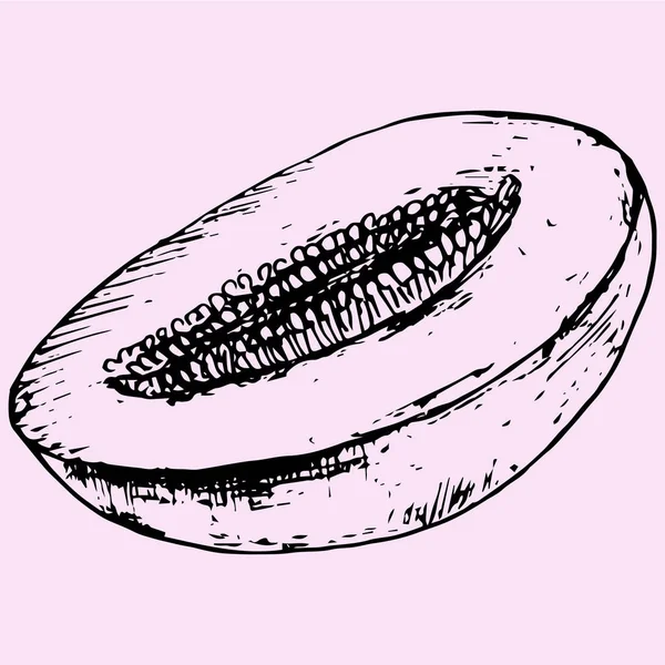 Pół melona, doodle stylu — Wektor stockowy