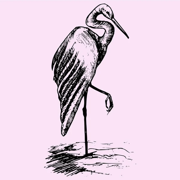 Heron doodle styl — Stockový vektor