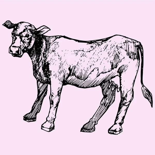 Vaca, estilo doodle —  Vetores de Stock