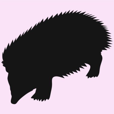 Kirpi vektör siluet